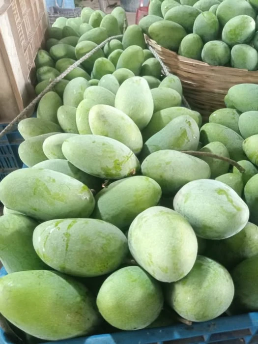 কাঁচামিঠা আম - Kachamitha Mango